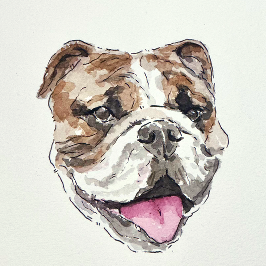 Custom Watercolor Pet Portrait